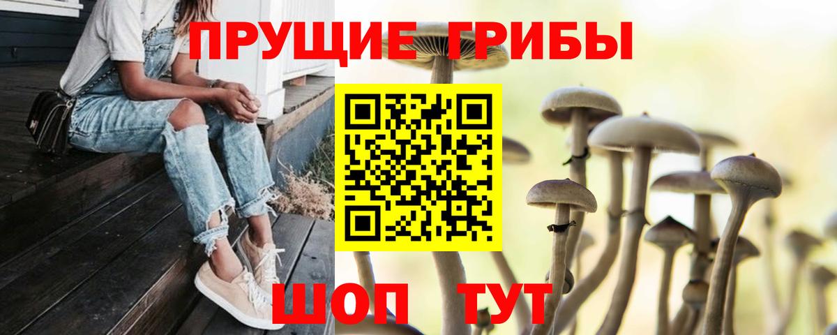 Одинцово  Псилоцибиновые грибы ЛСД  Вход с VPN  Галлюциногенные грибы MAGIC MUSHROOMS 